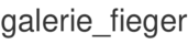 galerie_fieger